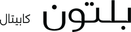 Portfolio Logo