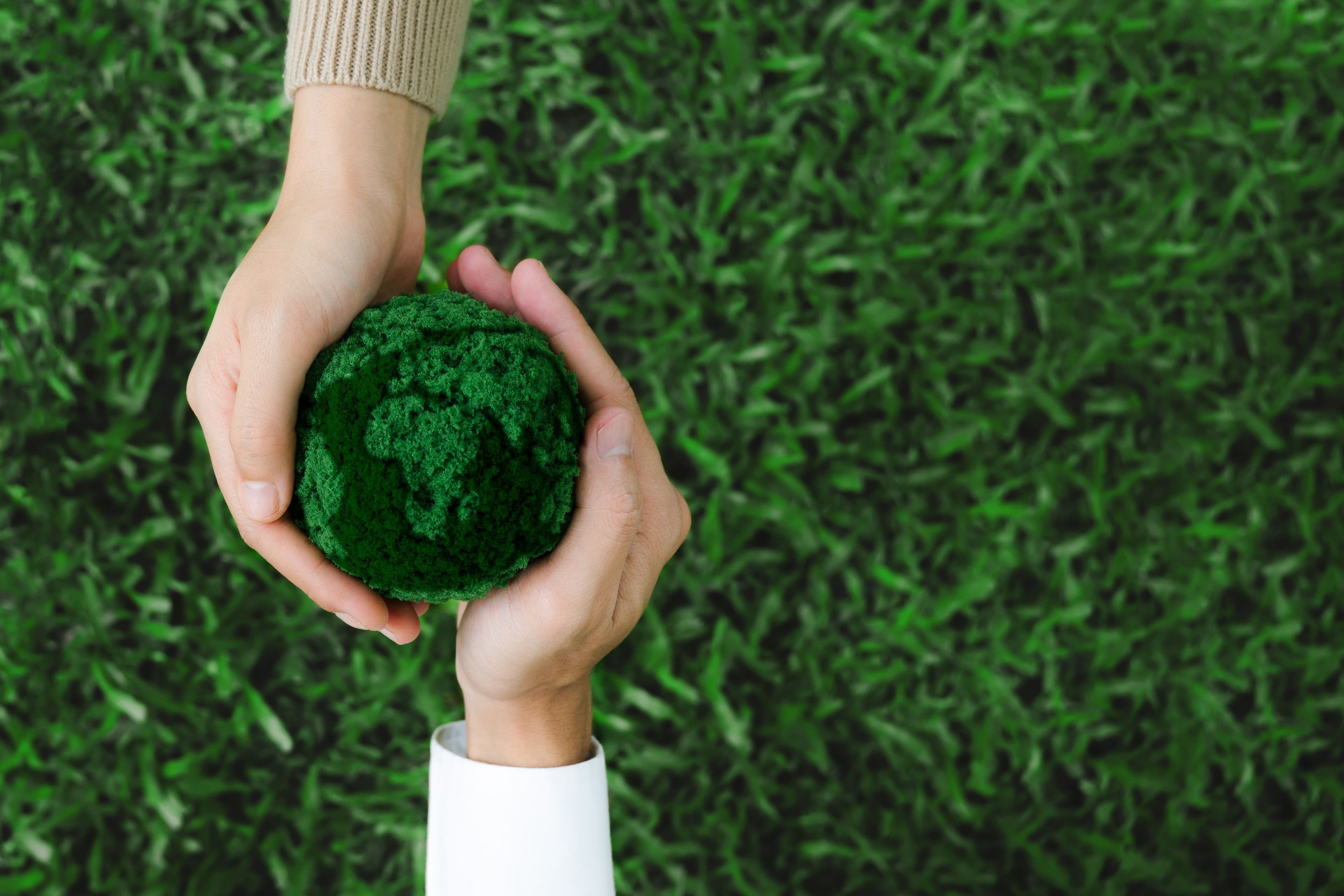  Sustainability Policy