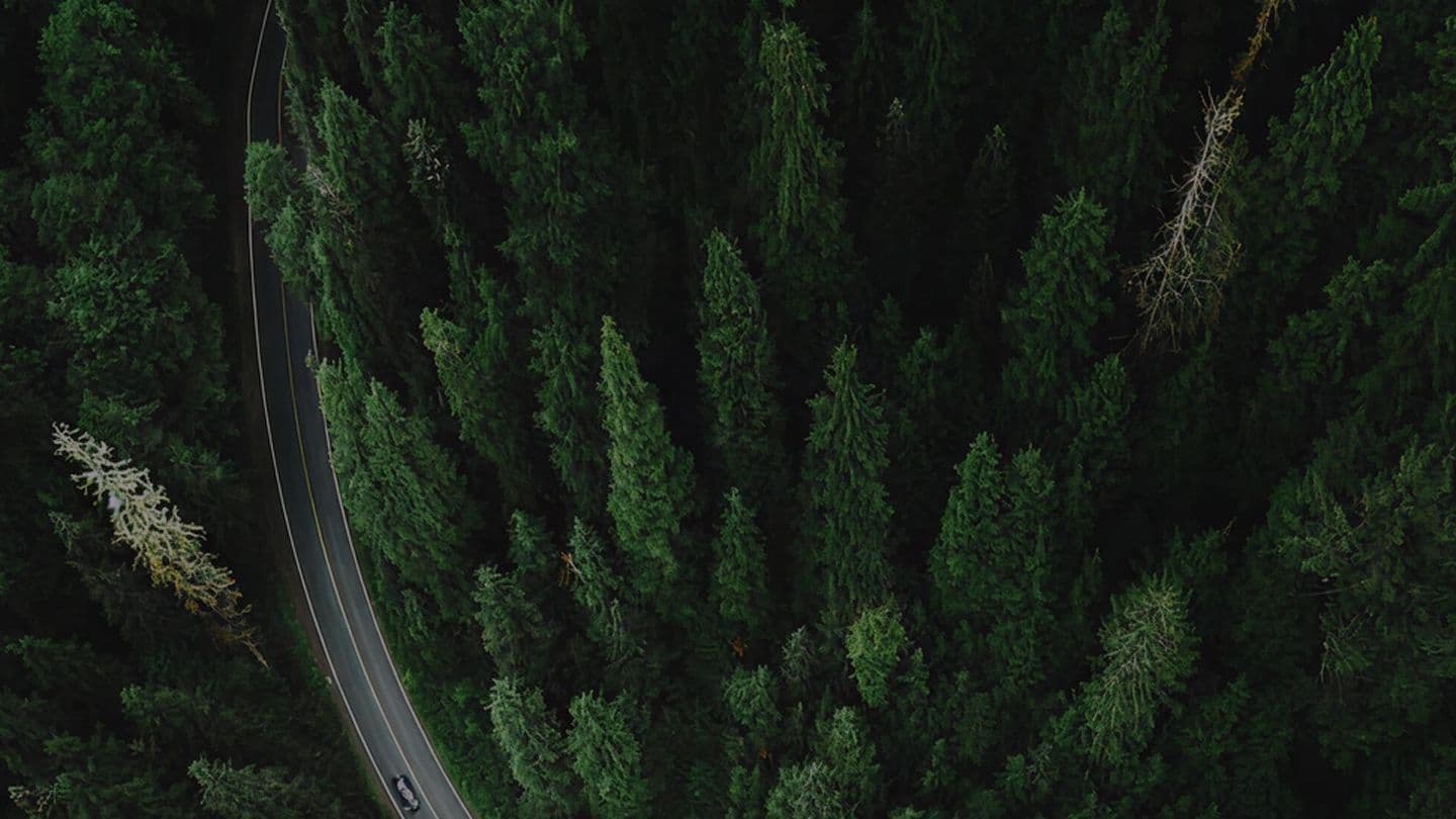 Consumer Finance - Seven